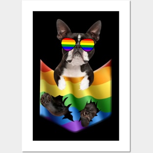 Boston terrier In Pocket LGBT Pride Flag For Dog Lovers Posters and Art